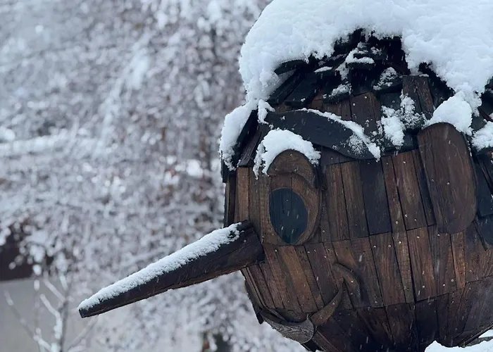 Il Faggio Rosso Отель типа 